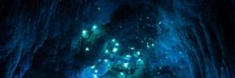 Cover image for post Chapter 2, by DanPhantom123