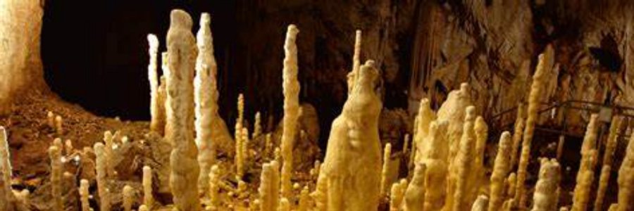 Cover image for post Chapter 10, by DanPhantom123