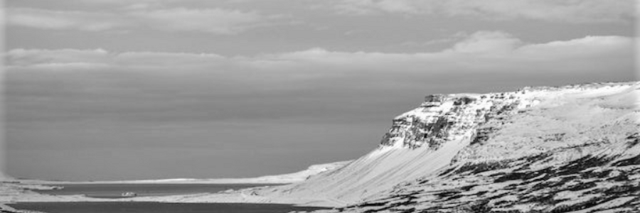 Cover image for post Still Here, by CynthiaCalder