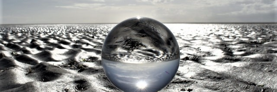 Cover image for post New Choices, by CynthiaCalder