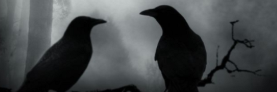 Cover image for post Festered Decay, by LioraG