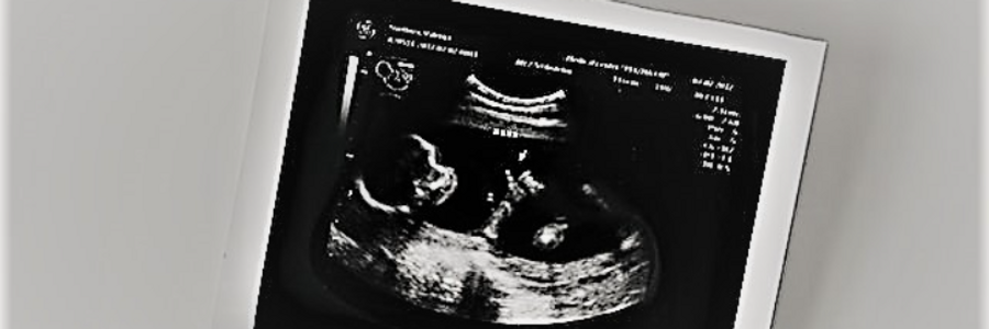 Cover image for post Perpetuating the Cycle of Life, by CynthiaCalder