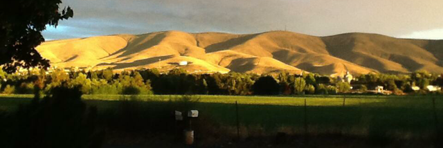 Cover image for post What City?, by Gracenote