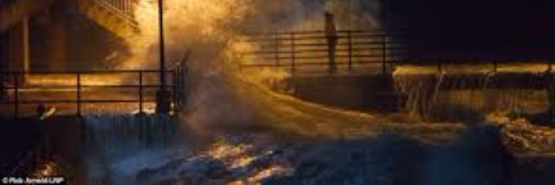 Cover image for post Life's Gales, by sandflea68