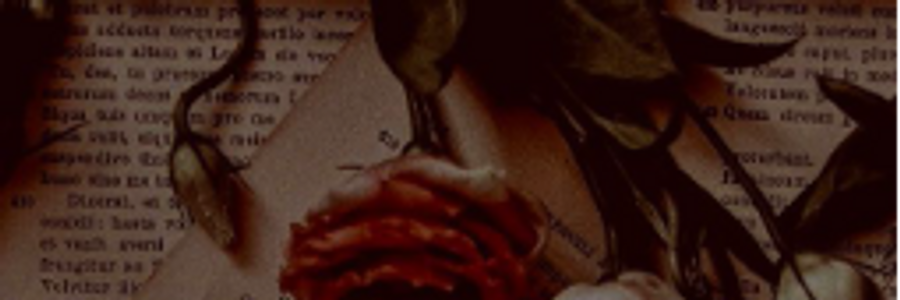 Cover image for post A Writer's Life, by 0la_8