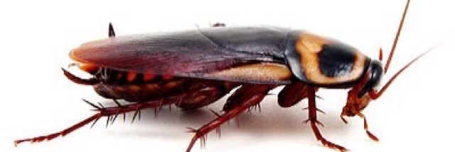 Cover image for post Food for Thought #7, by derickijohnson