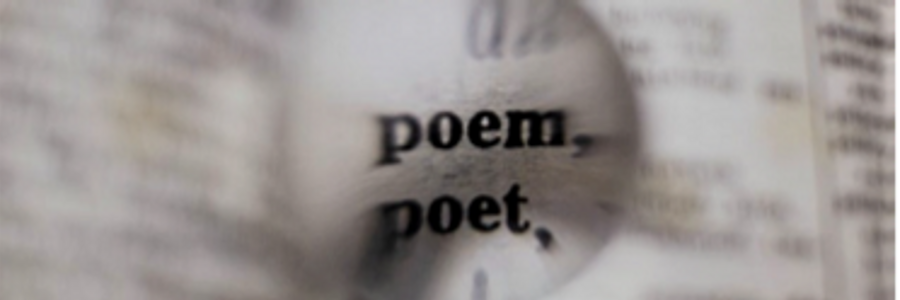 Cover image for post Magic, by CynthiaCalder