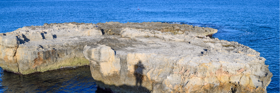 Cover image for post Ghosts of Journals Past, by PrettyScaries