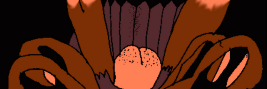 Cover image for post The Fartblossum, by GerardDiLeo