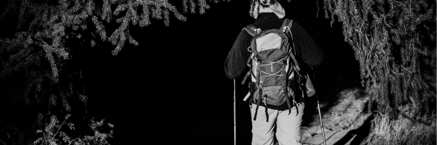 Cover image for post The Wendigo, by PrettyScaries