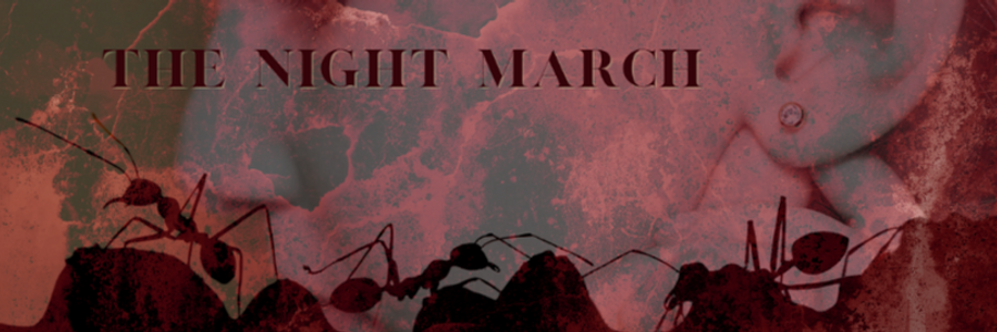 Cover image for post The Night March, by FarrellTimlake