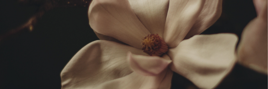 Cover image for post Here, by PrettyScaries