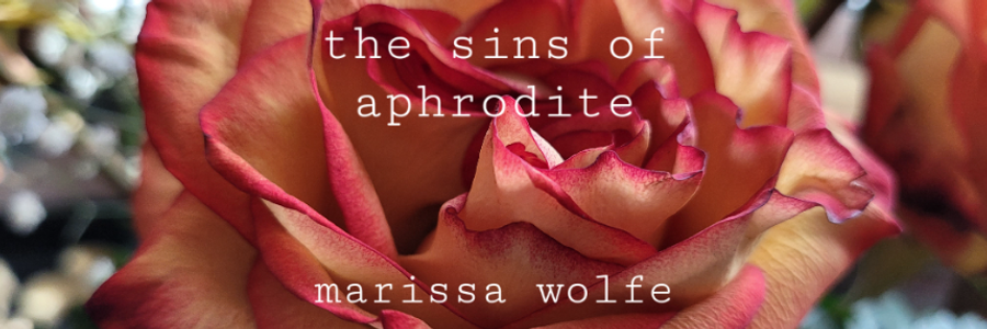 Cover image for post R.O.O.M. (Remnant of Other Moments), by TheWolfeDen