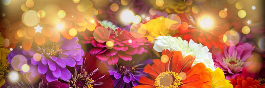 Cover image for post The END For @r_raven, by LilEnigma