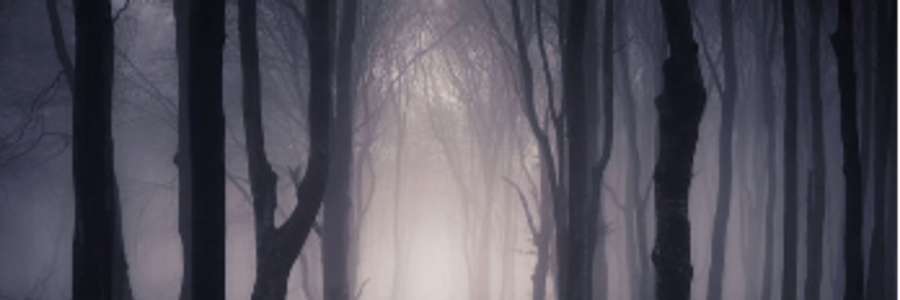 Cover image for post Heading to that dark place
, by EVADPENDELL