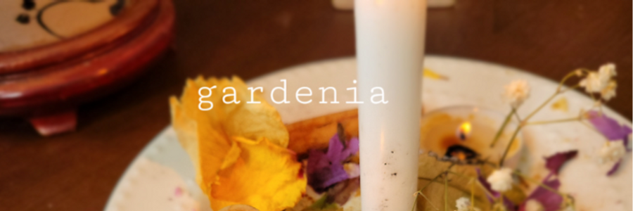 Cover image for post Cotyledon, by TheWolfeDen