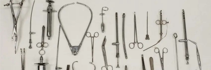 Cover image for post Molly, by SweetBee