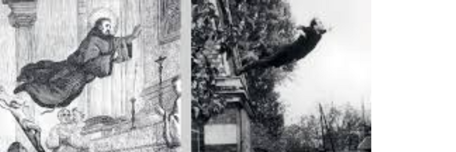 Cover image for post Miracle Shmiracle, by GerardDiLeo