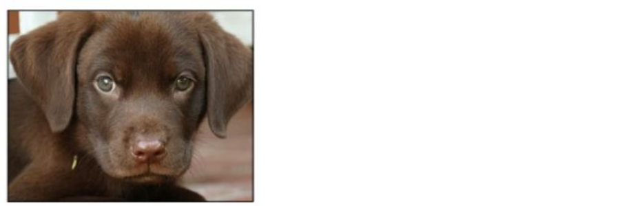 Cover image for post PERSONAL VIEW: "We Lost a Friend This Week", by JimLamb