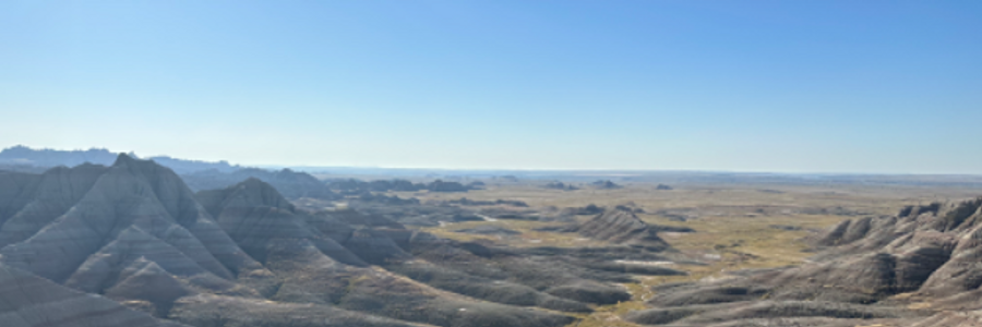 Cover image for post Gracie, by pretty_archaic