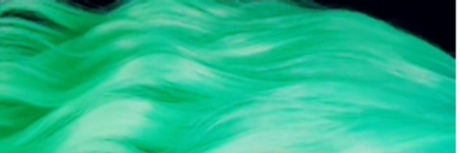 Cover image for post Oleanders in June , by Mamba