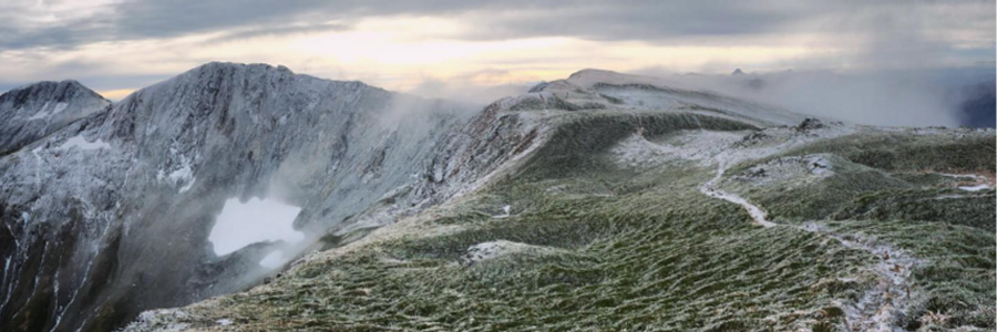 Cover image for post Gold Ridge, by northernlight