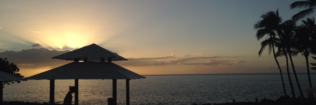 Cover image for post I can't stop, by hilarybroman