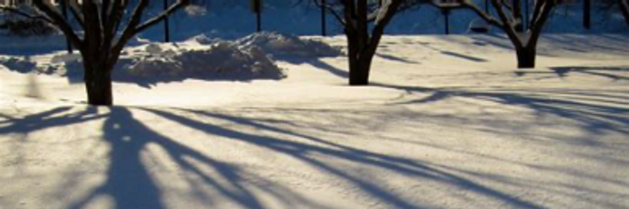 Cover image for post Seasonal, by Mariah