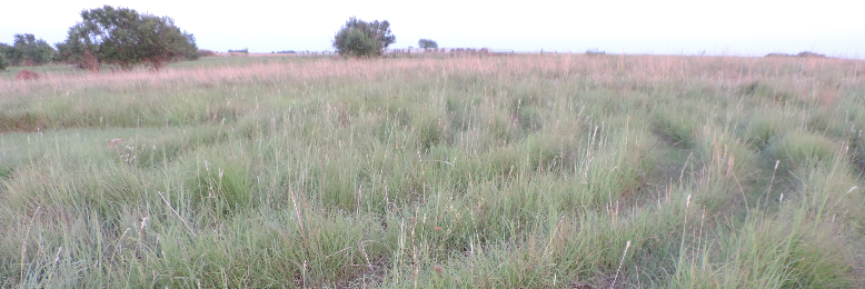 Cover image for post Divorce Summer, by HSapphireH