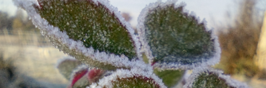 Cover image for post The feeling that has no name, by Fabulam