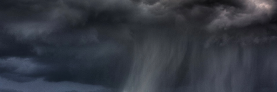 Cover image for post Petrichor, by Mariah