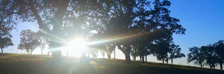 Cover image for post Give the Crutch of God, by KeepComingBack