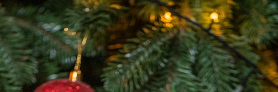 Cover image for post Idee regali di natale: Scegli il Perfetto!
, by kiltevurda