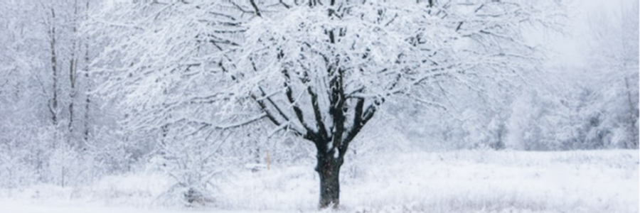 Cover image for post Carve Your Name into My Heart, pt 2, by tinad