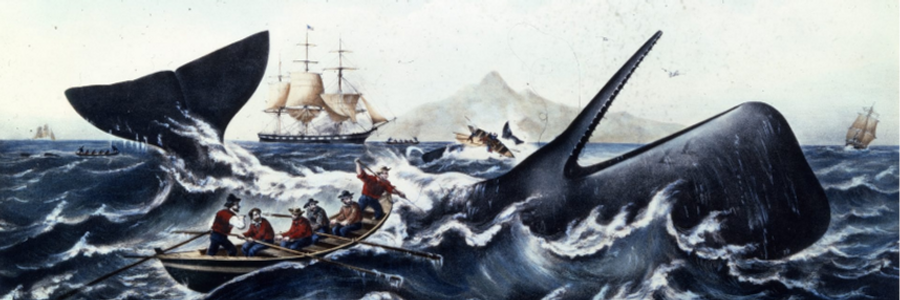 Cover image for post Carrickfergus, by hunter_graham