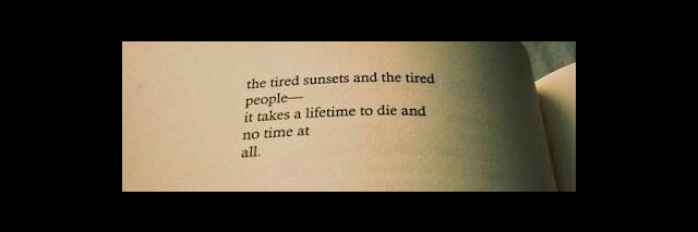 Cover image for post Liar, by Hislastbreath