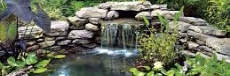 Cover image for post My Mother, A Pond(written by an eleven year old girl in tribute to her mother), by sandflea68