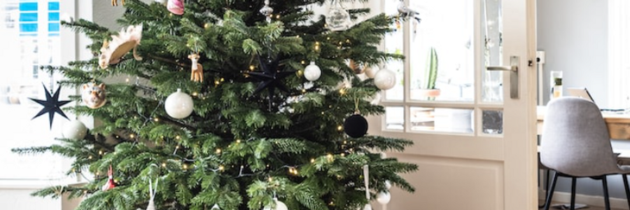 Cover image for post Merry Little Christmas to Us, by tinad