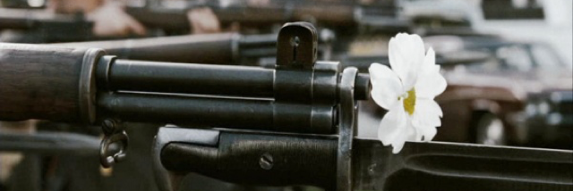 Cover image for post Seeking Truth, by derickijohnson