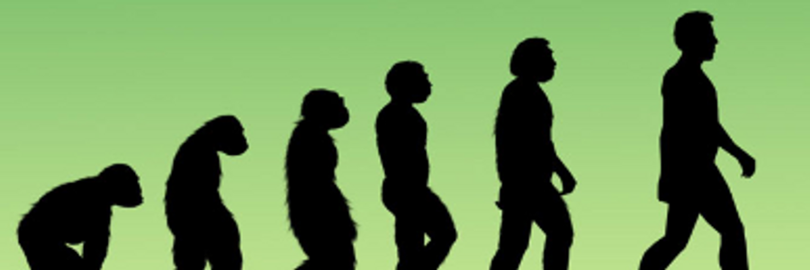 Cover image for post The Evolving Self, by maayan