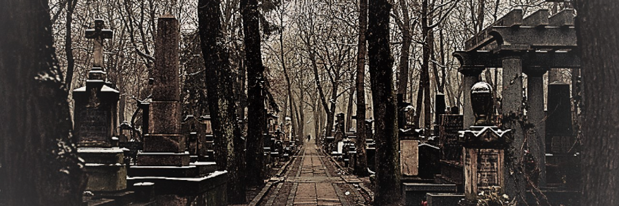 Cover image for post Precipitous Death, by CynthiaCalder