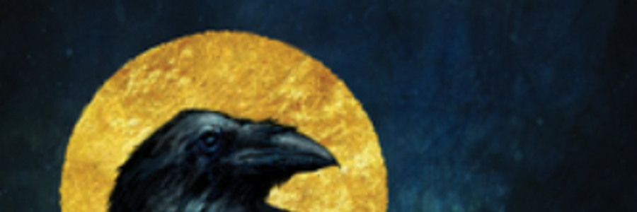 Cover image for post E pluribus unum, by Mnezz