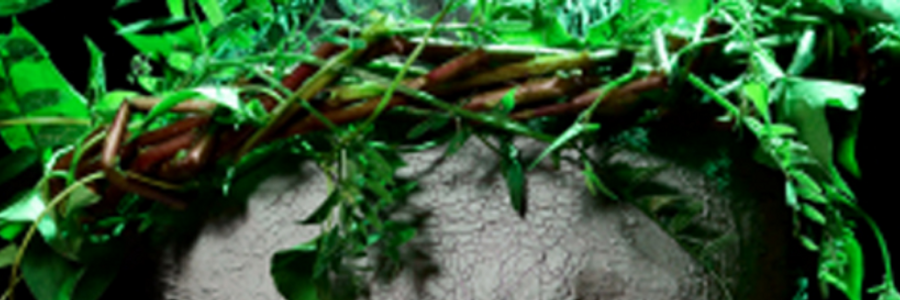 Cover image for post UnMythed (selections), by chriswind