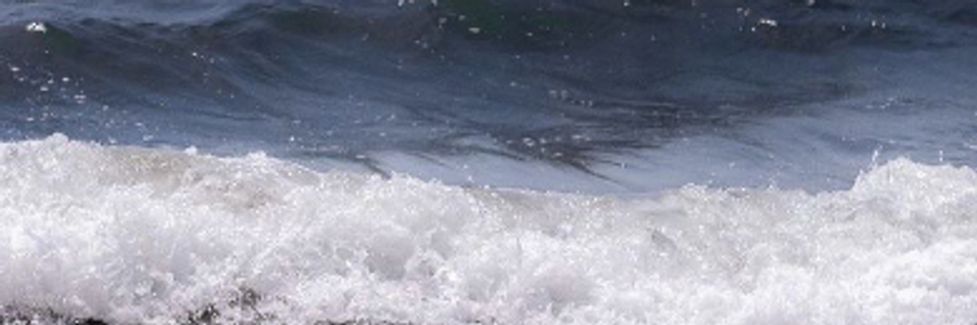 Cover image for post But a mermaid has no tears, and therefore suffers so much more. , by champagnekitty