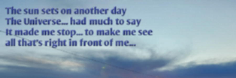 Cover image for post The Phoenix, by Sheryl_Nusser