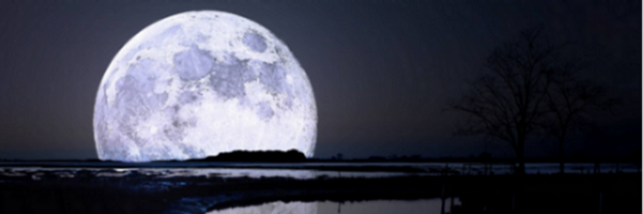 Cover image for post The Blood Tears, by Unbroken