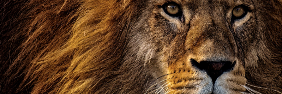 Cover image for post Ever and Auric, by PrettyScaries