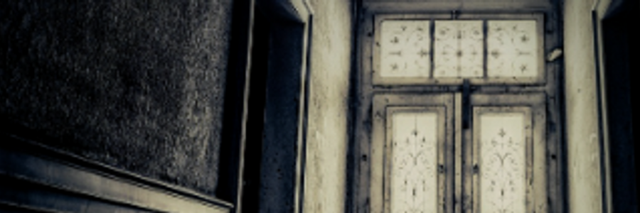 Cover image for post Lesion/s, by Clburdett