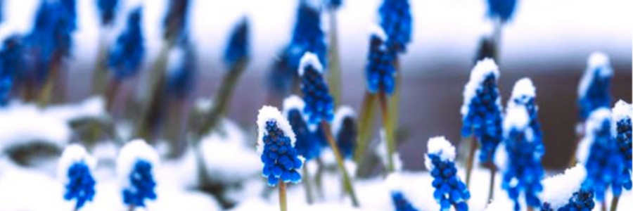 Cover image for post Cyanic, by CynthiaCalder