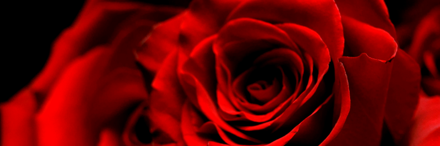 Cover image for post Make Me Sing, by KassandraDick